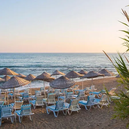 Club Sun Paradise فندق